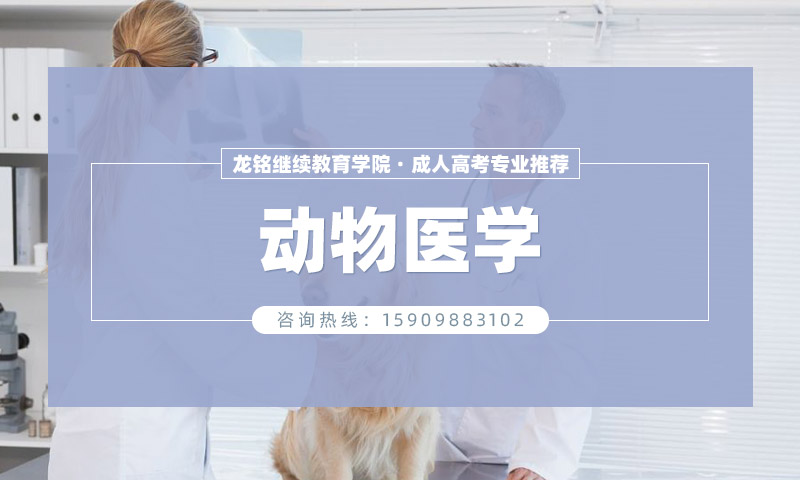 动物医学,2025年辽宁成人高考报考院校汇总